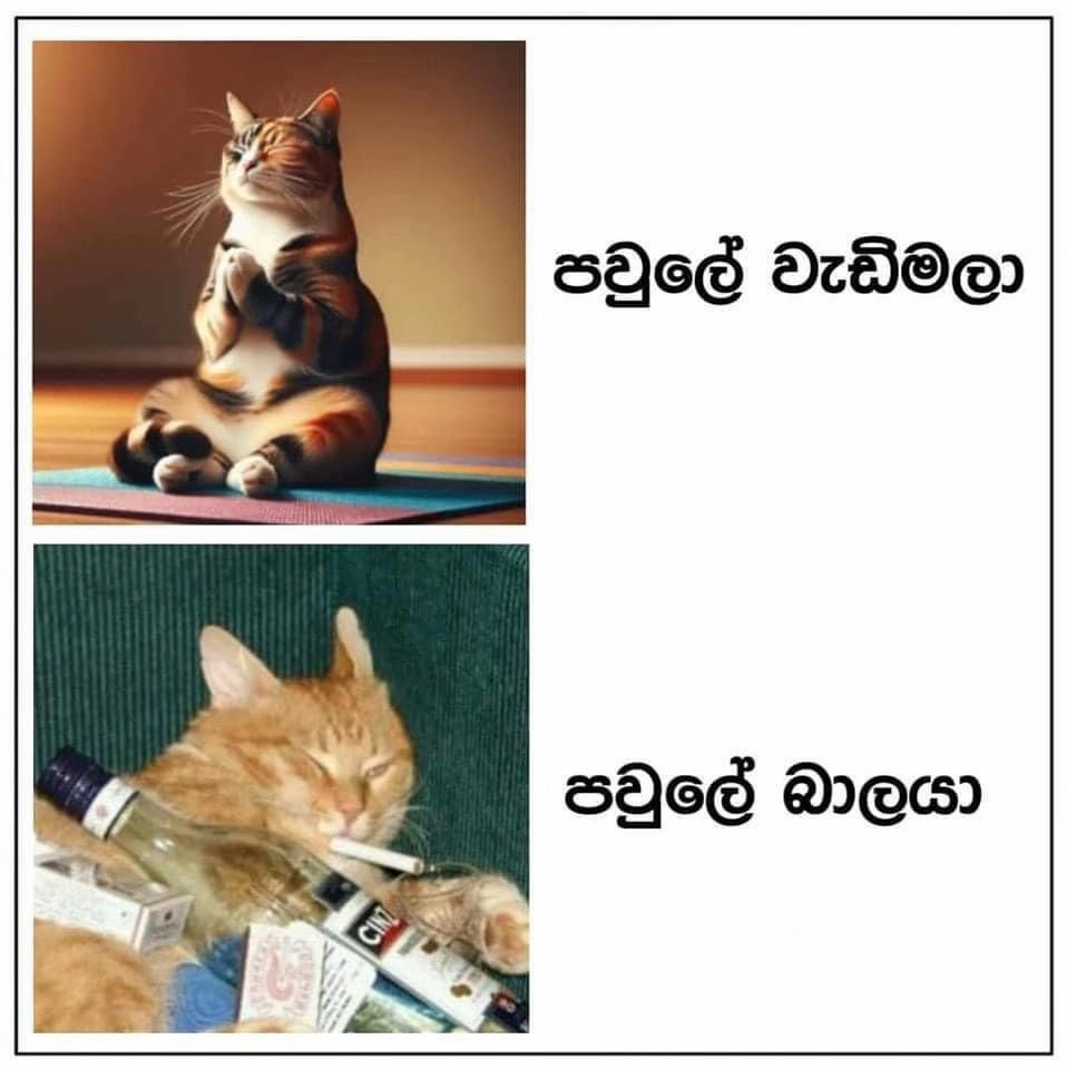 @Hashitha_Weer