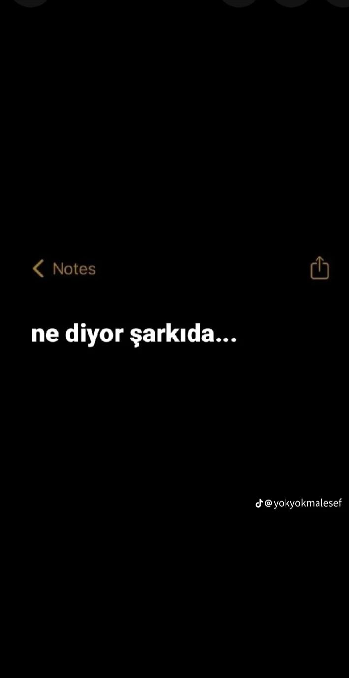 @Merve Tezcan