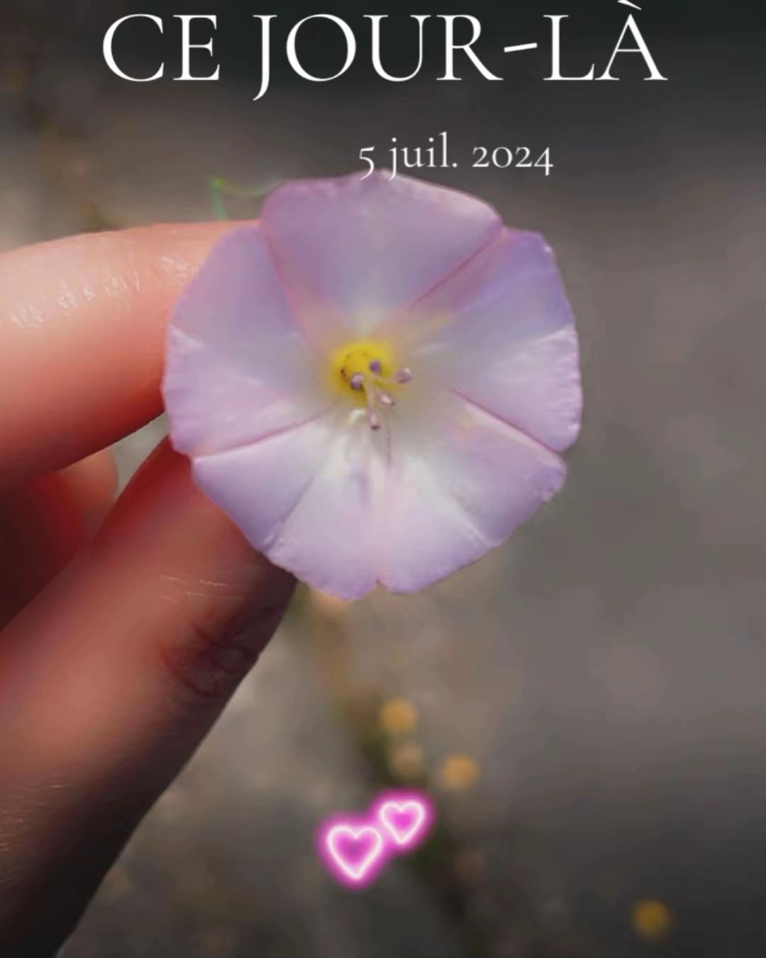 @๐ฎโก Mathildechatnoir๐ฎโก
