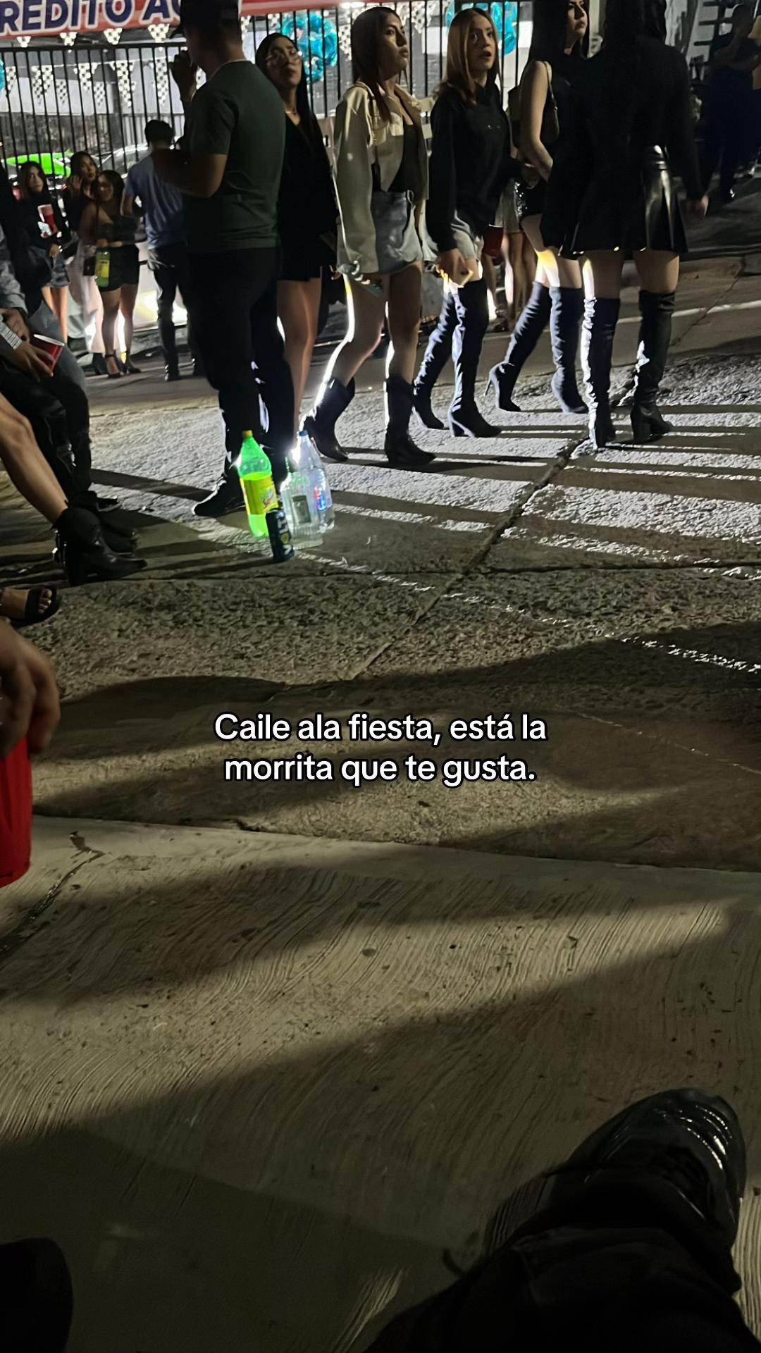 @Pollito_conpapasjaja