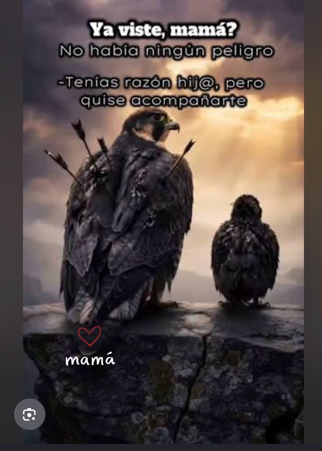 @🧚♀️Carmen🧚♀️