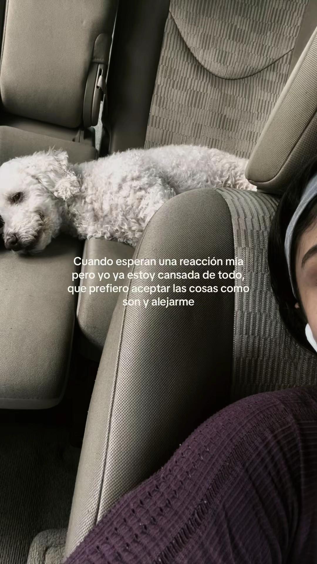@🔝