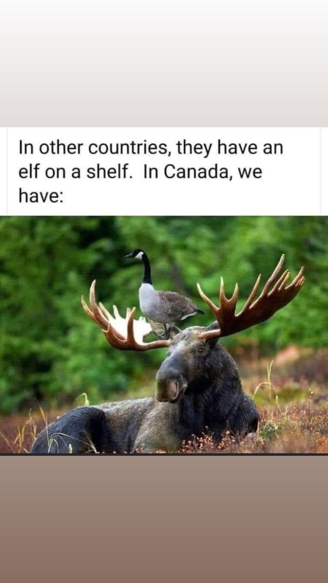 @HumdrumOrange3 🇨🇦