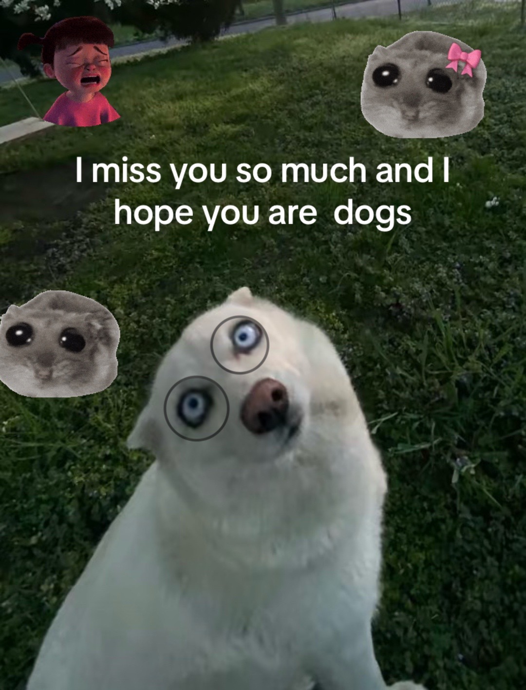 @Alexa:D🫪