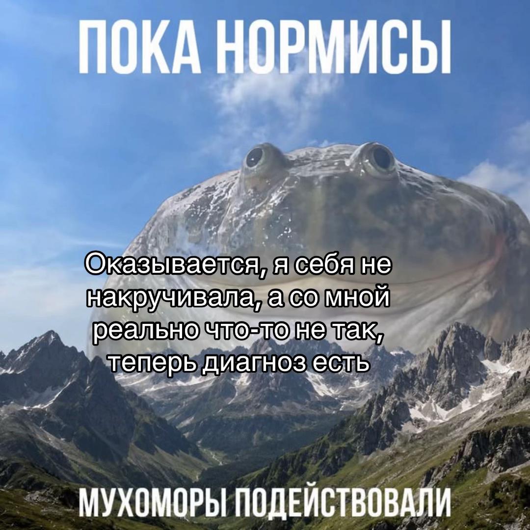 @Бельферг