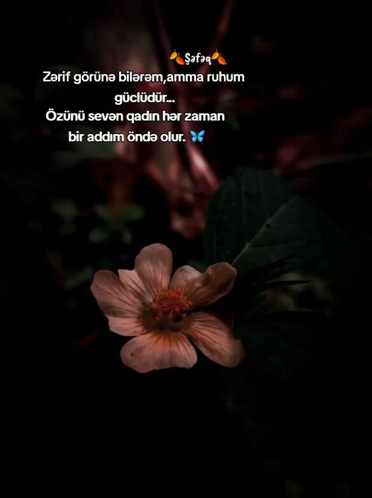 @🍂ŞƏFƏQ🍂