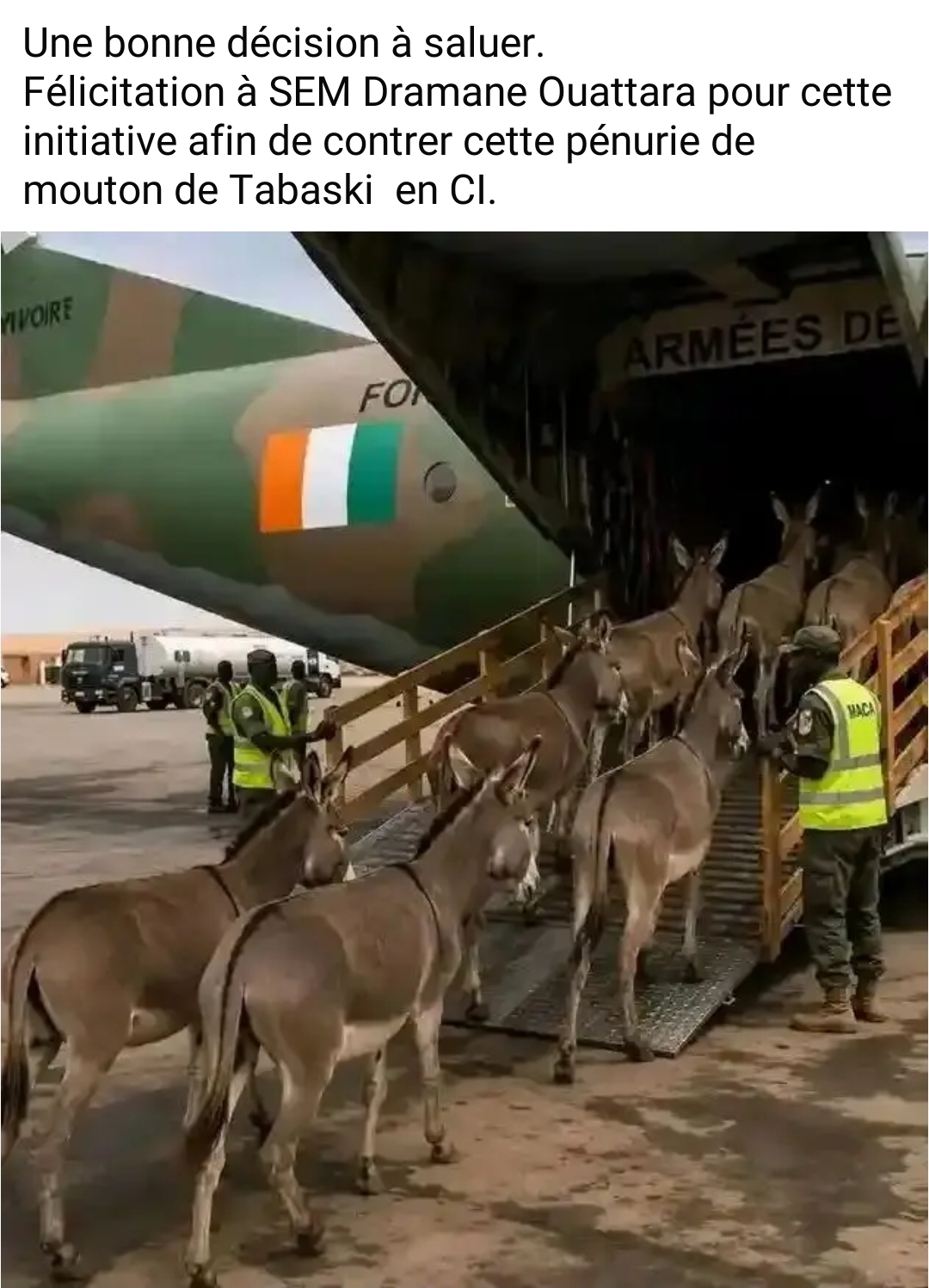 @Maiga l'opérateur