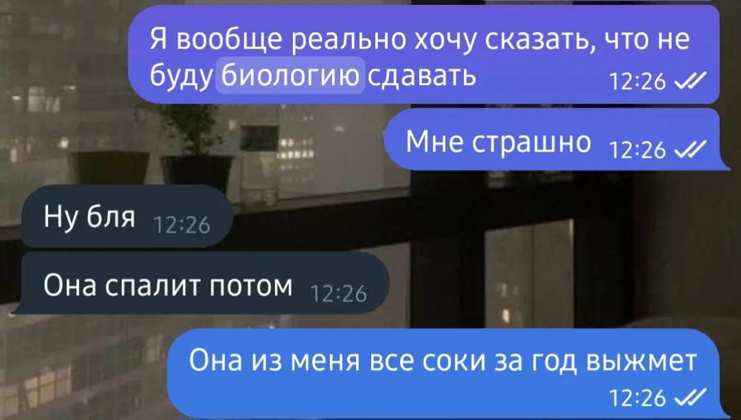 @hahapifpaf