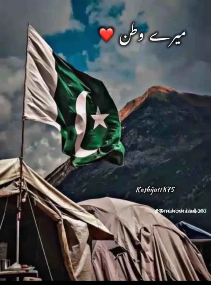 @Waseem Kulyar