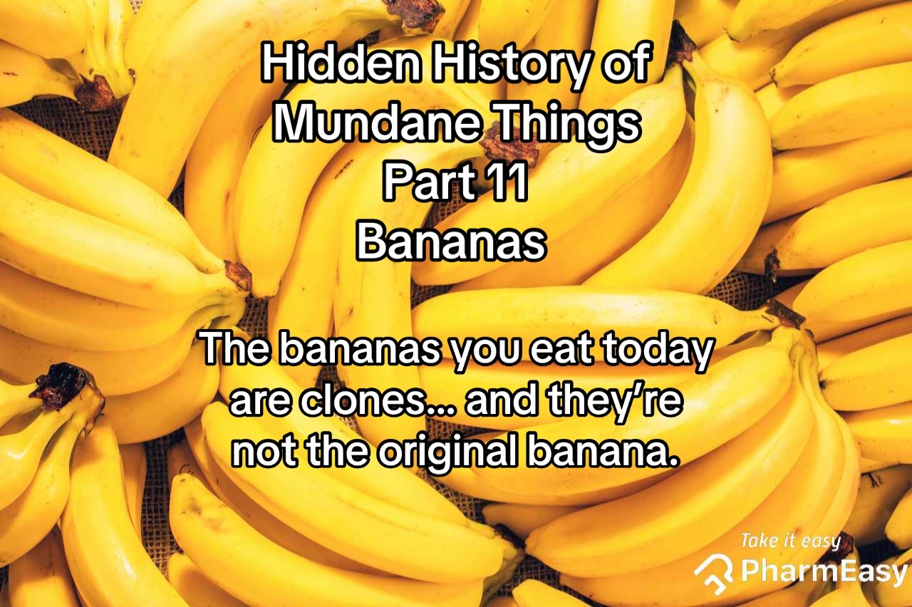 @mundanehistories