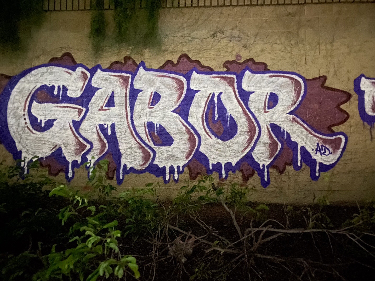@GaborMSK.AD.TSL