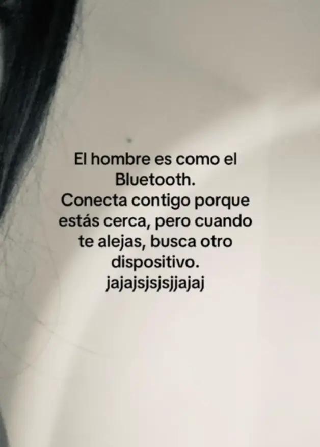 @🌺