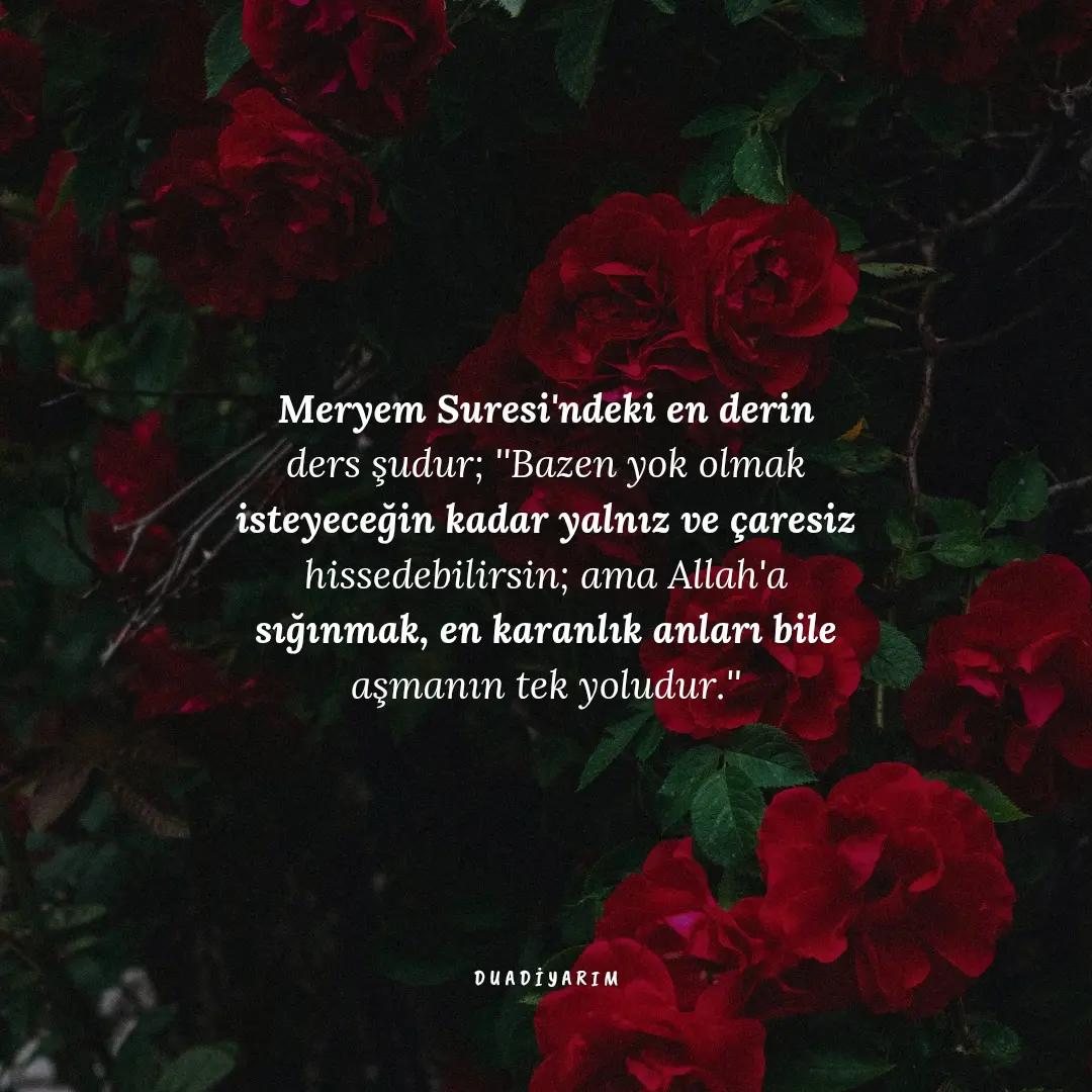 @ᴅᴜᴀ ᴅɪ̇ʏᴀʀɪᴍ