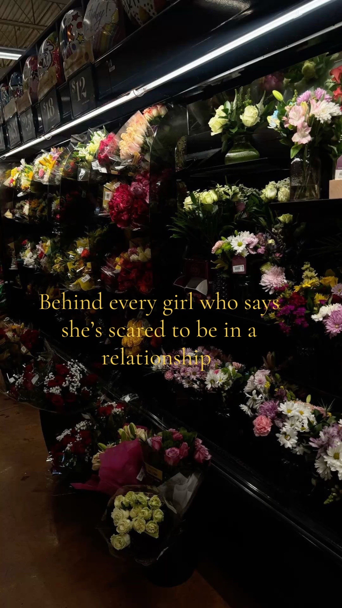 @haley.james23