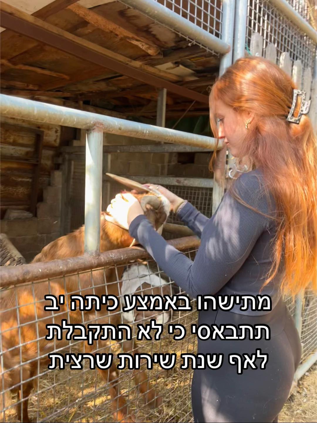 @gilii__