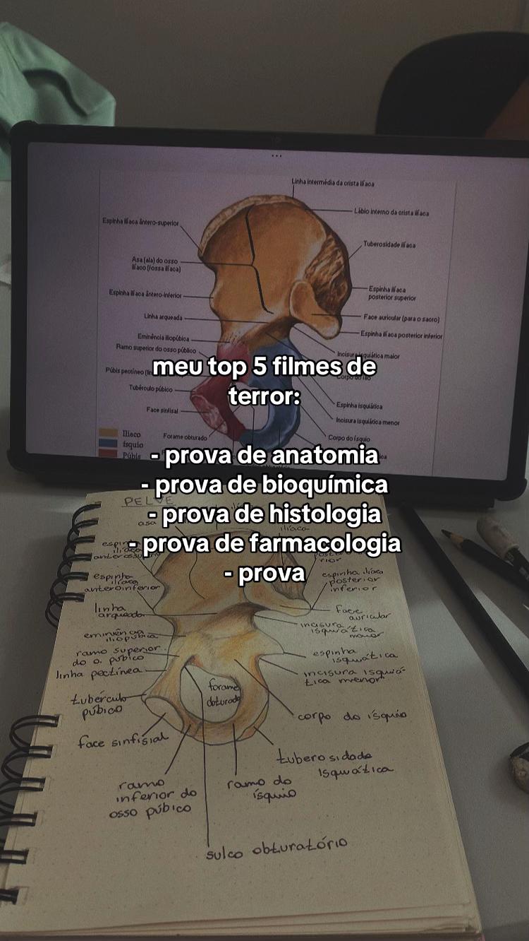 @lu_capu_