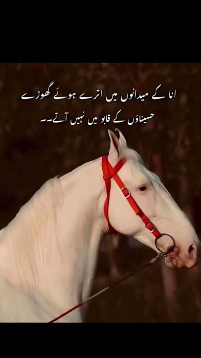 @🦅Hamxii بادشاہ 🦅
