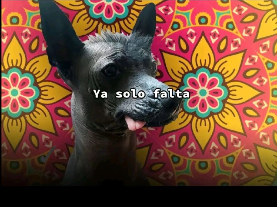 @ADAN_EL_FISGON