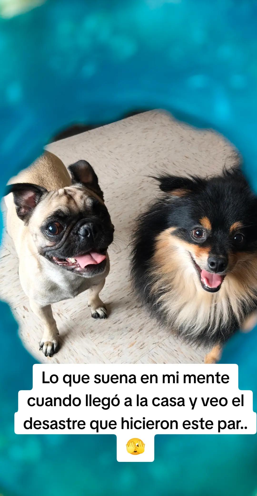 @Susanita