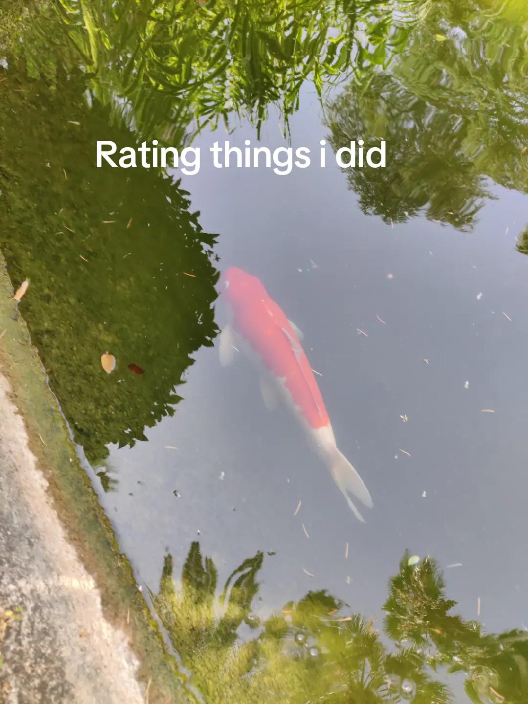 @Ollmarus