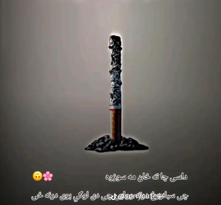 @🥀.M...🫀 K🌹