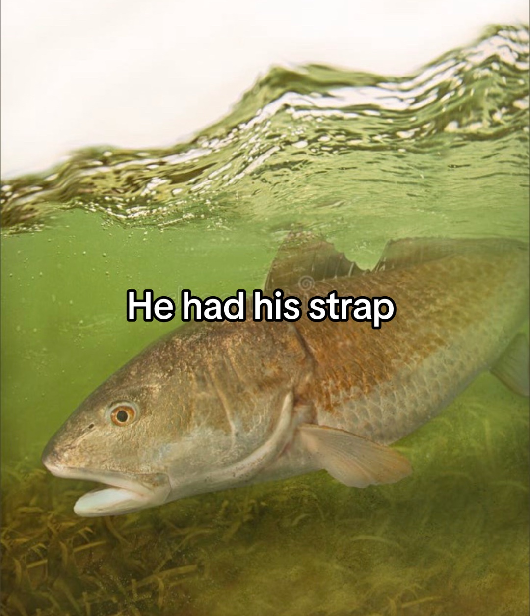 @Noahlikes2fish🧿