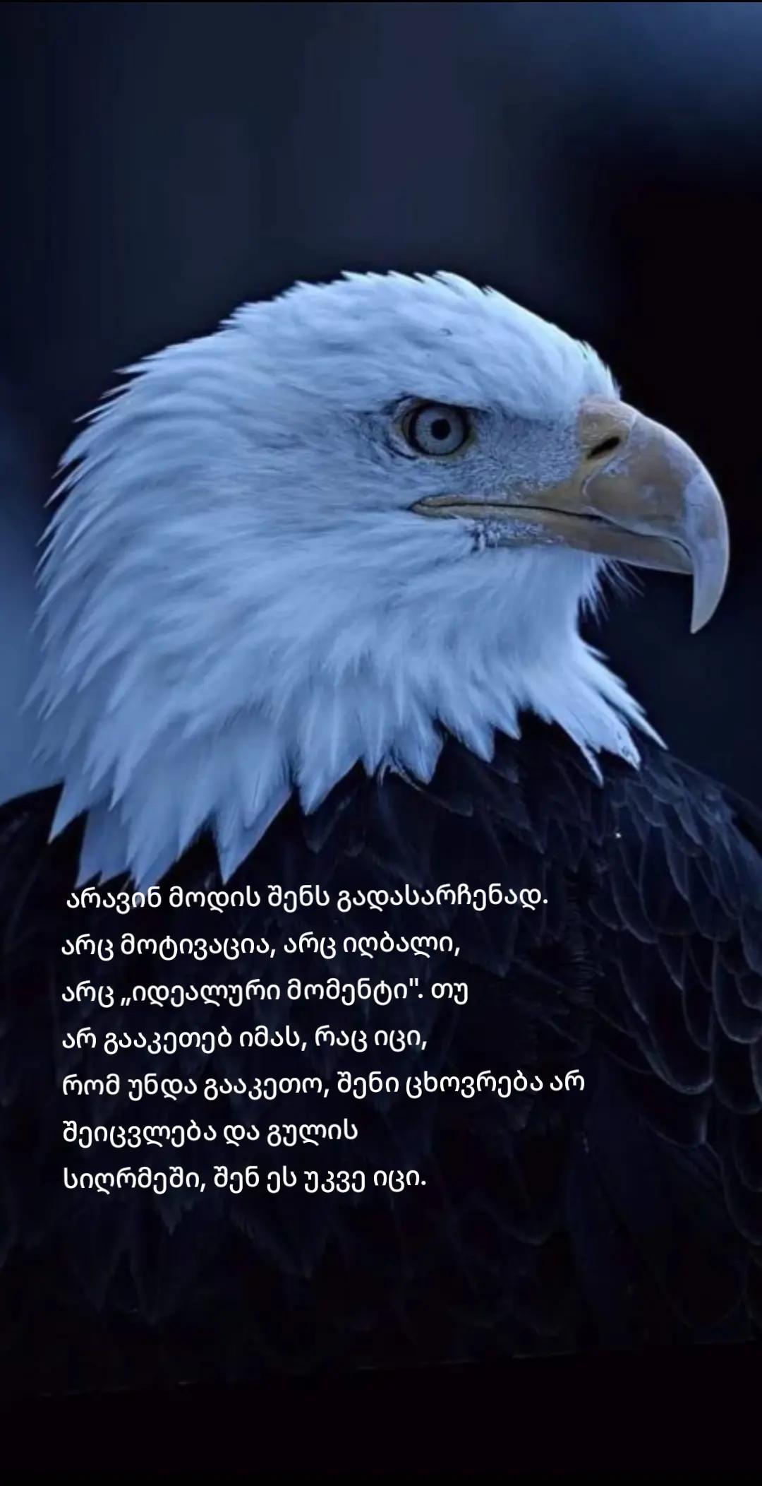@Shako ๐ฌ๐ช๐ค๐ฉ๐ช