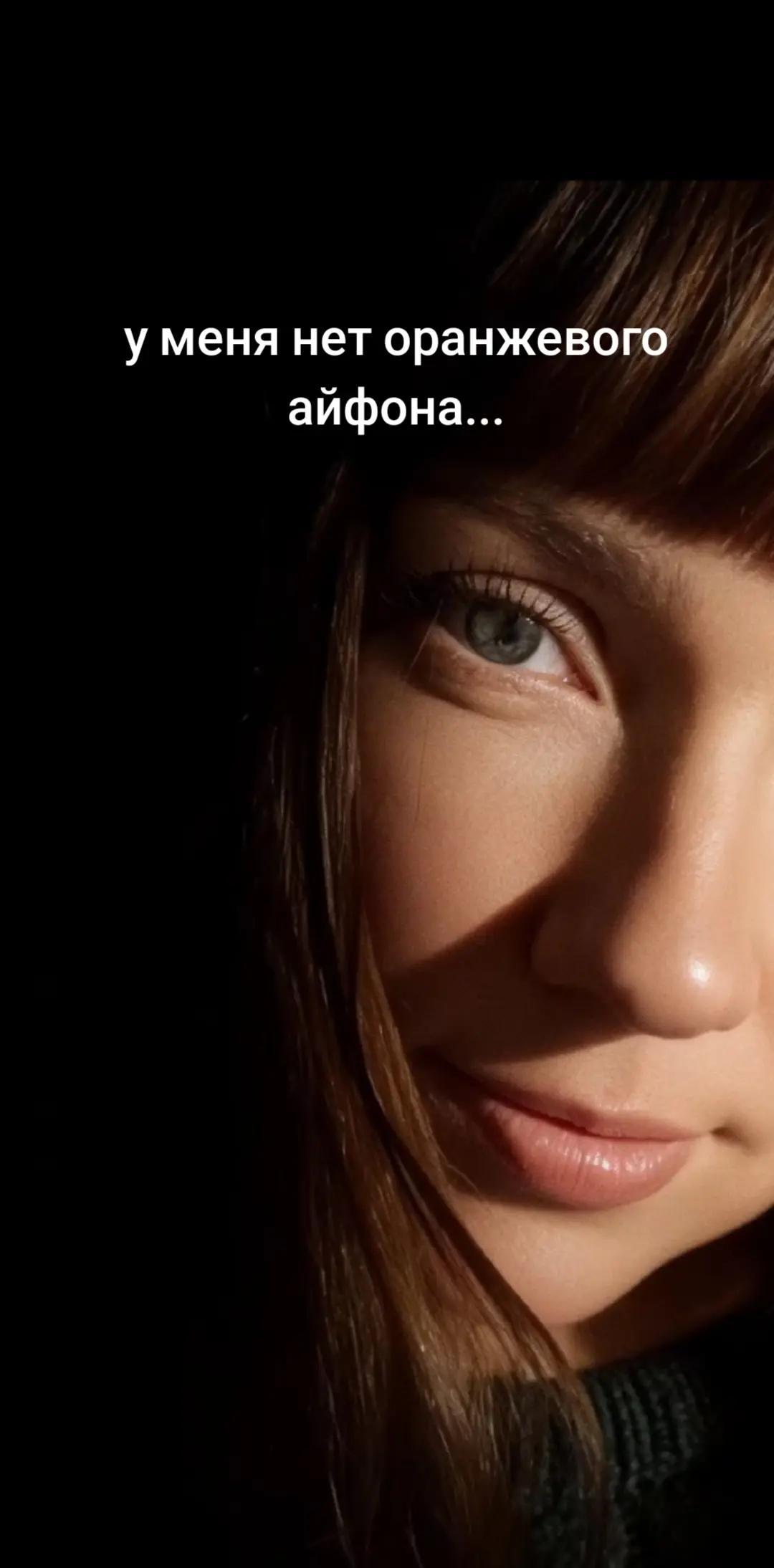 @Бигль Сэм и его семья.