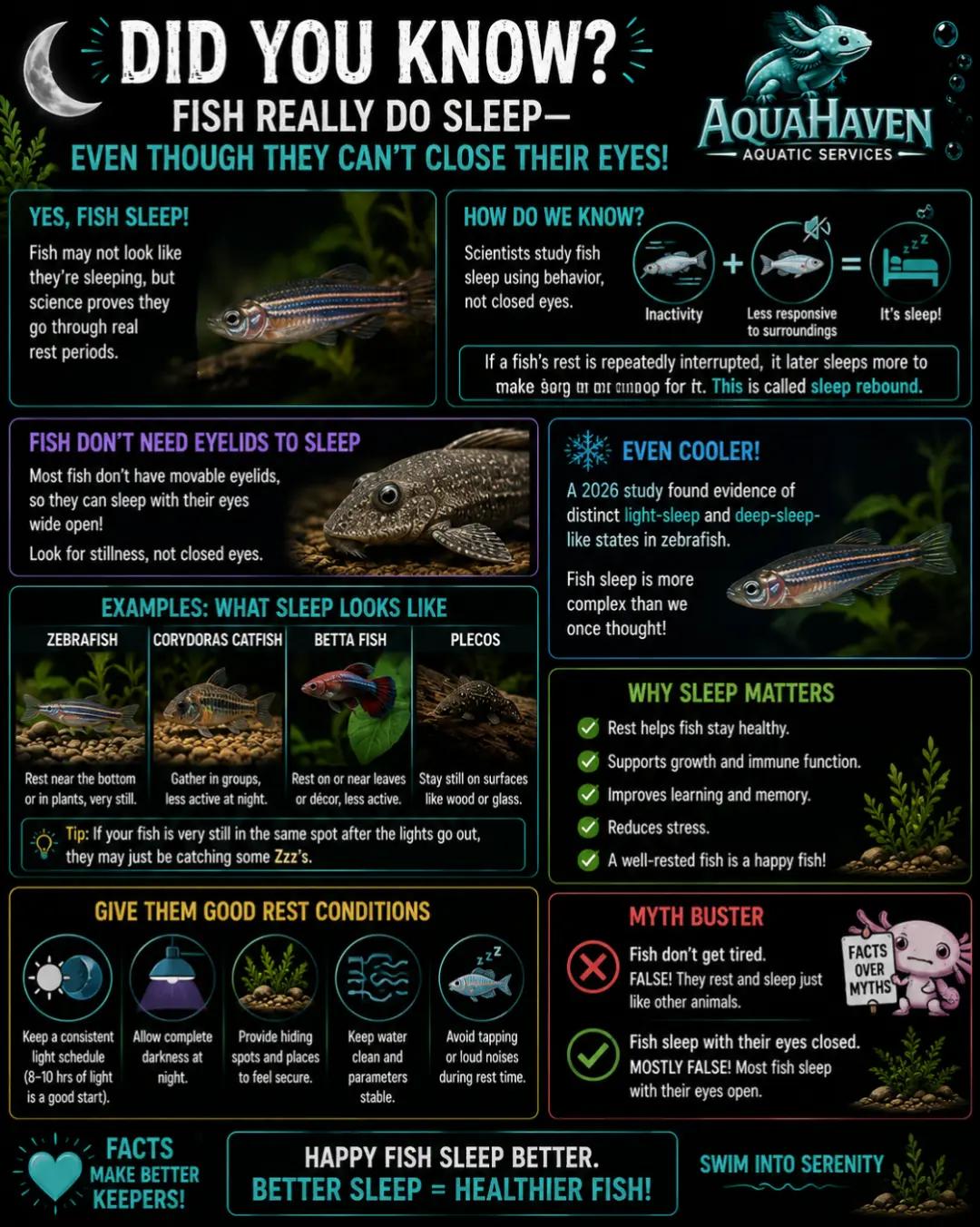 @AquaHaven&trade;️🐠🌌🌊