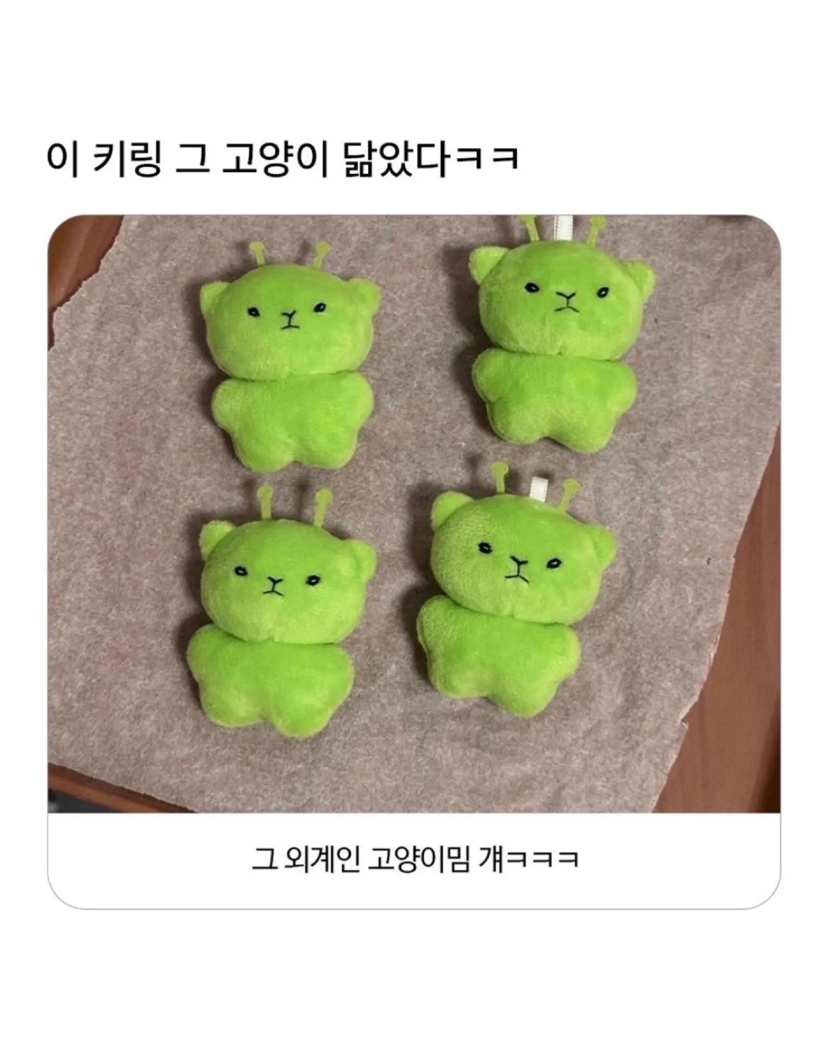@로이젤