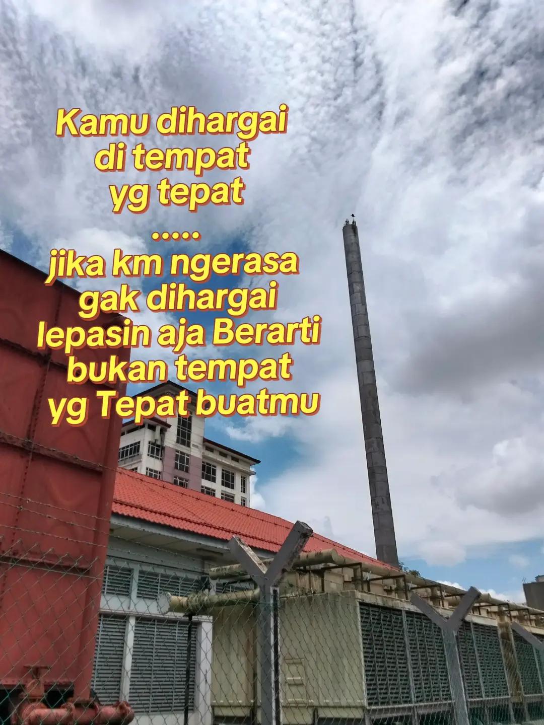 @Ren_dy🚀