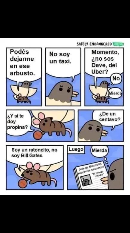 @baldo.0110