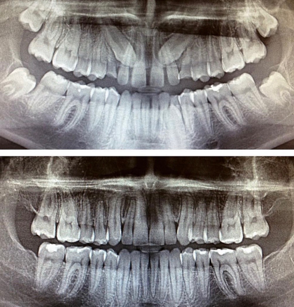 @panaorthodontics