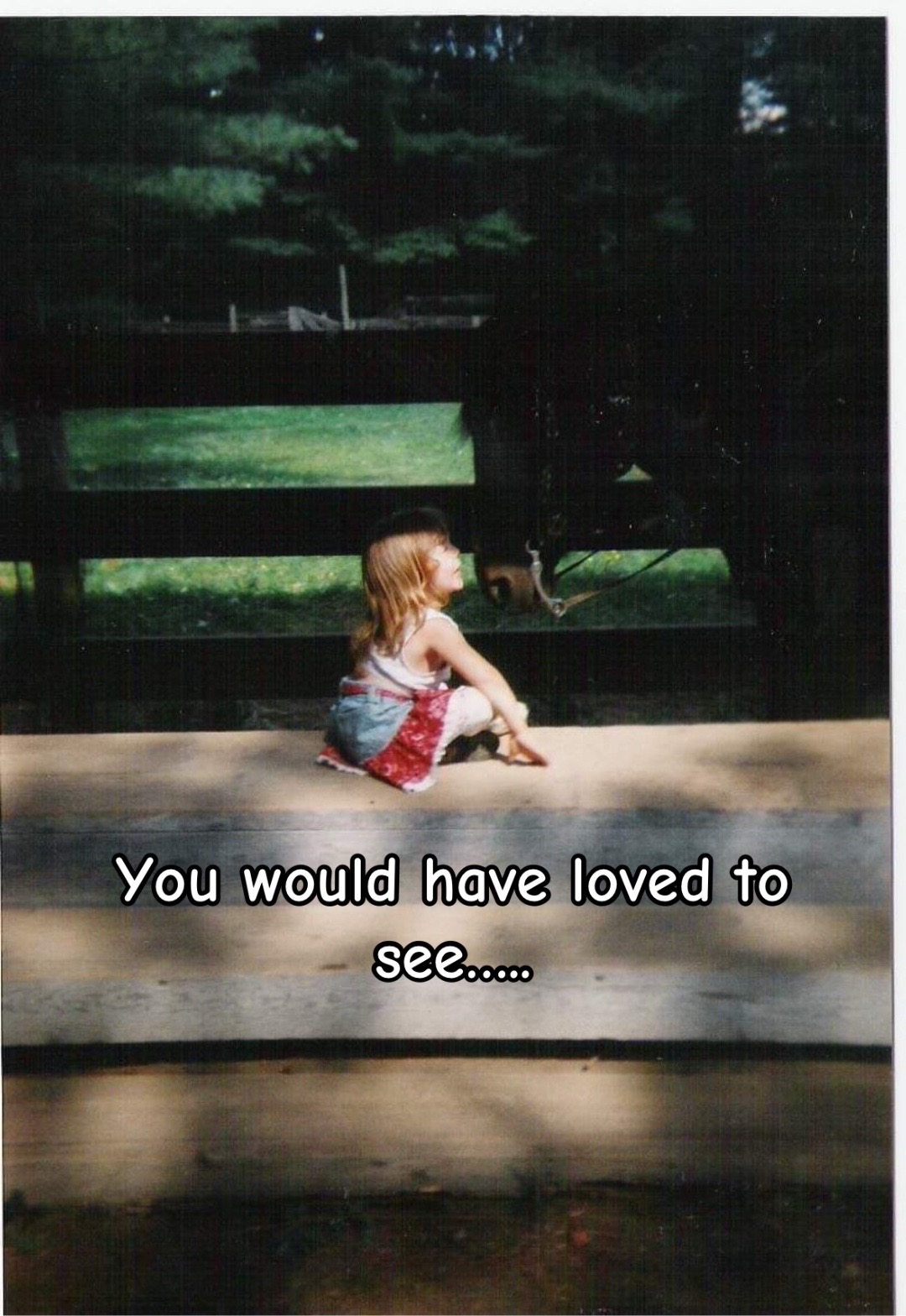 @Virginia Lynn