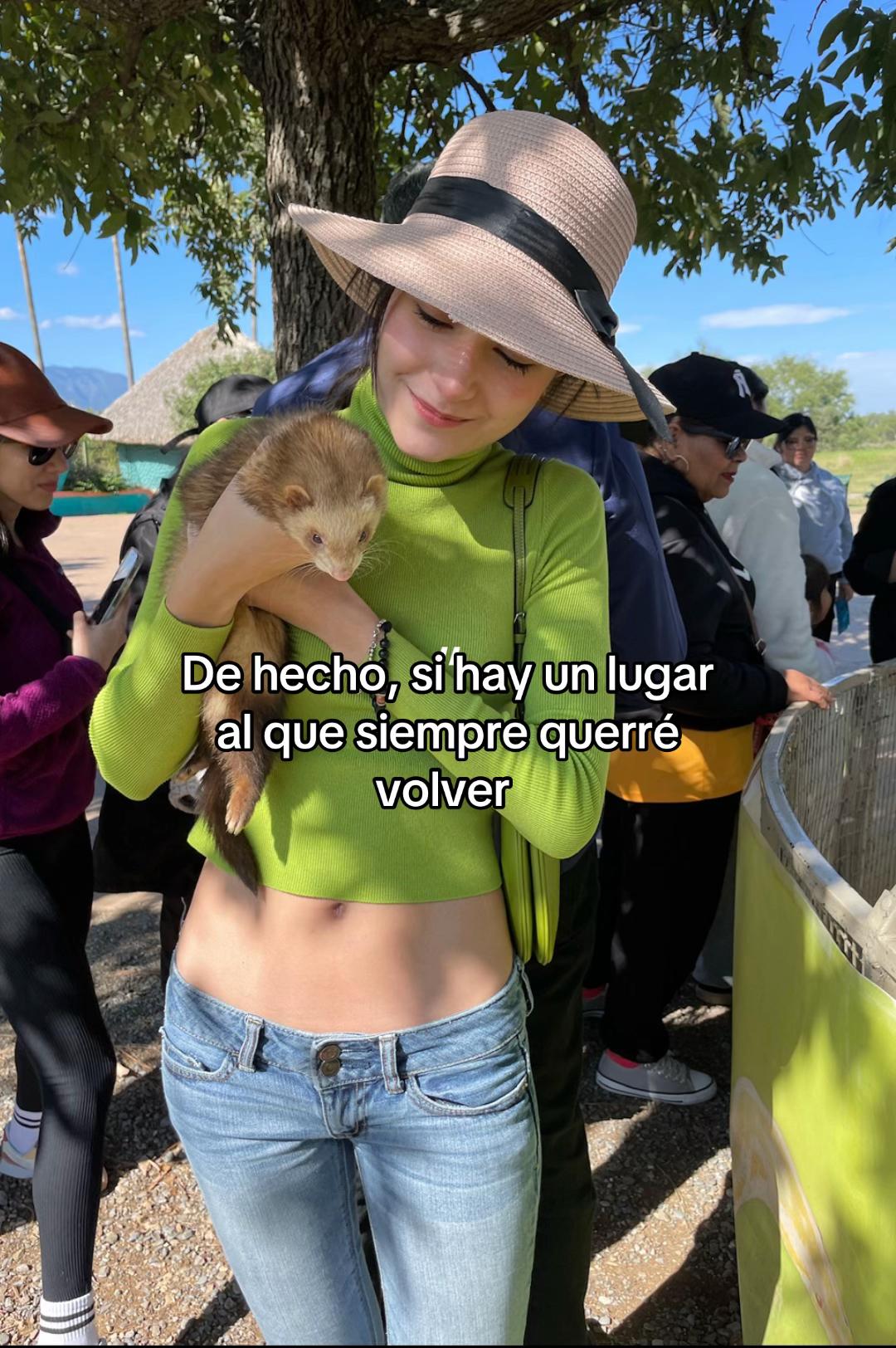 @Majito