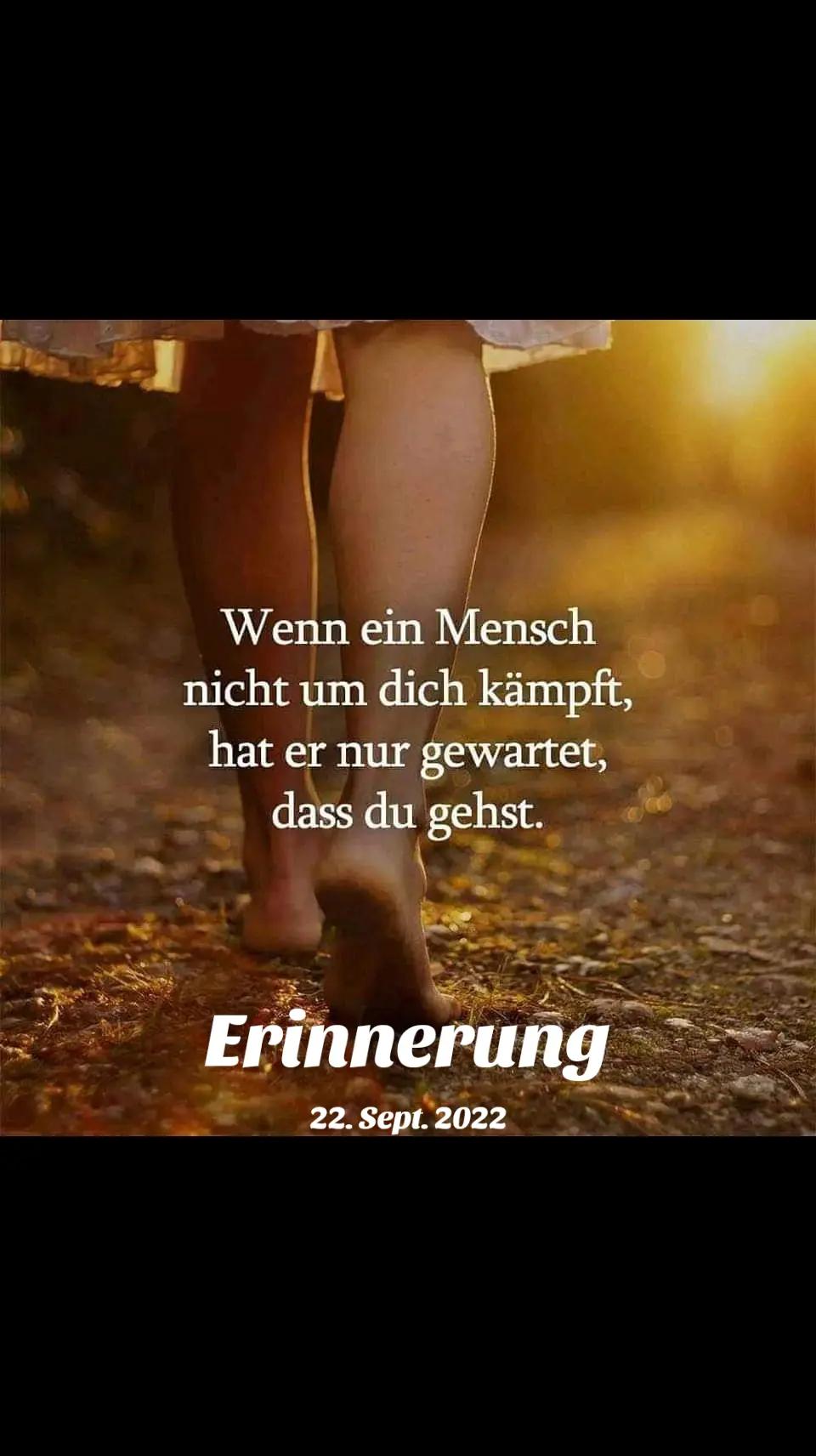 @schwabenland71