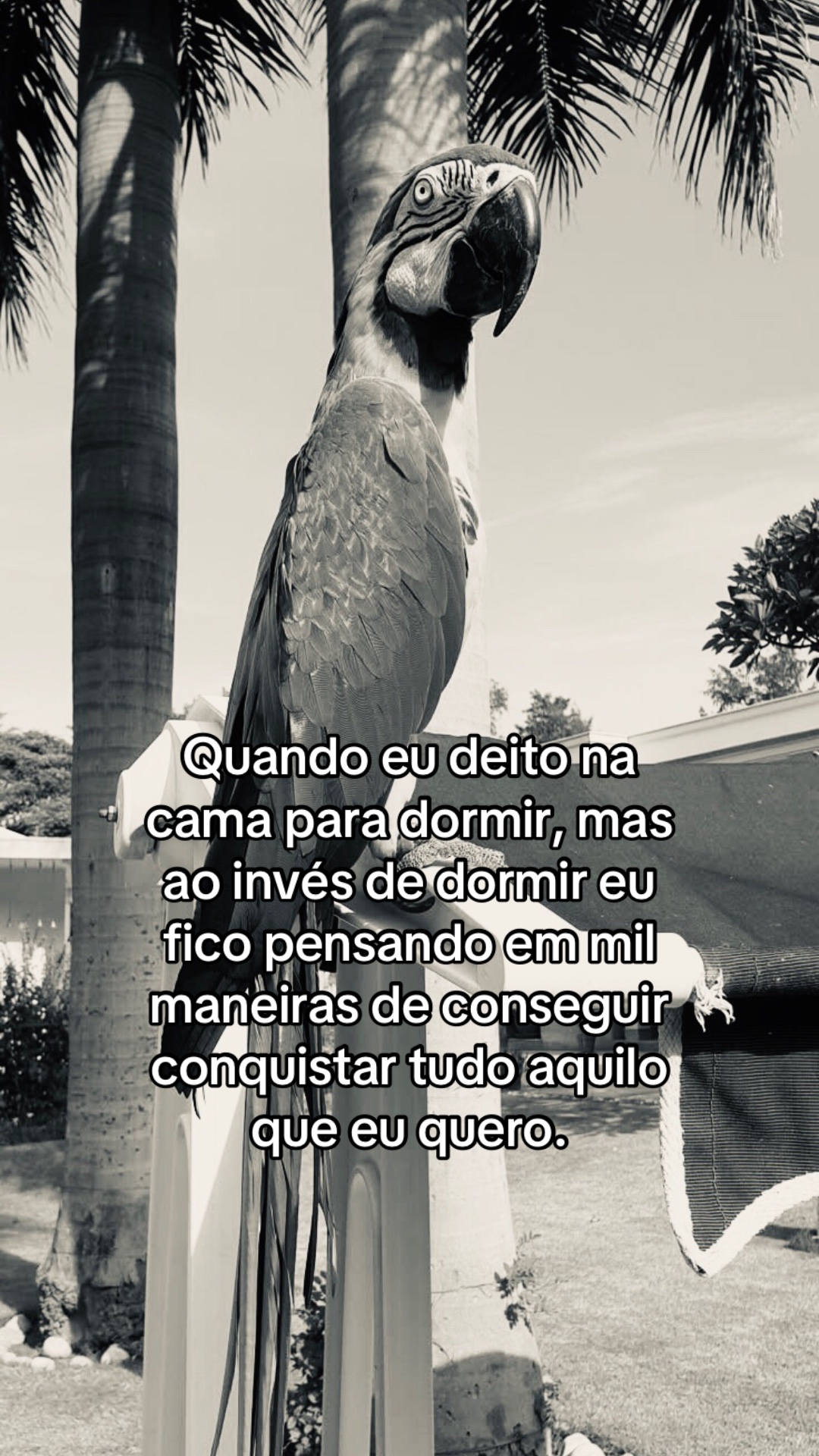 @junin 