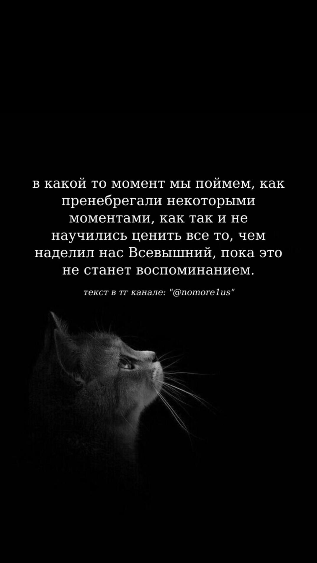 @nomore1us