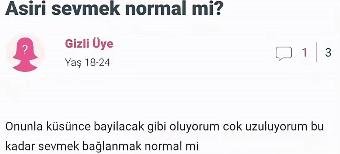 @Aylin Erdem