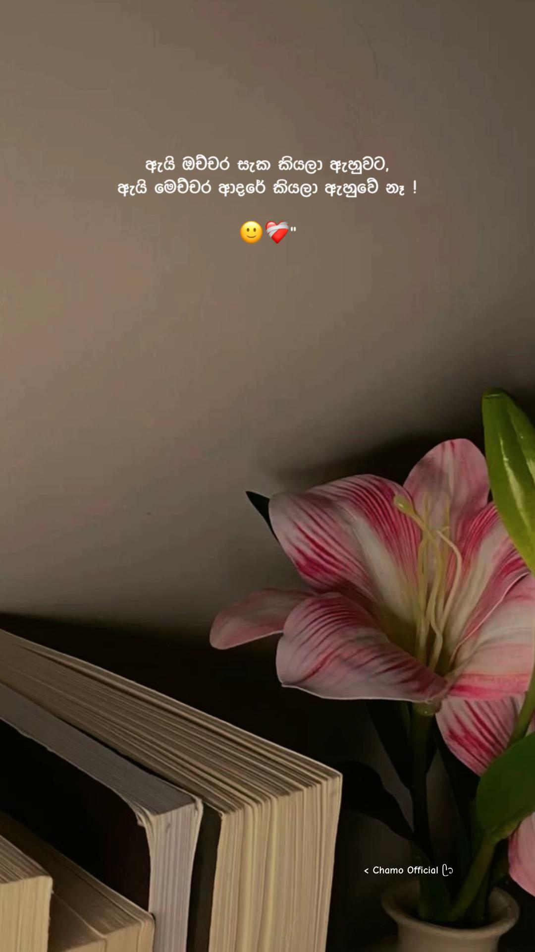 @< 𝐂𝐡𝐚𝐦𝐨 ᥫ᭡