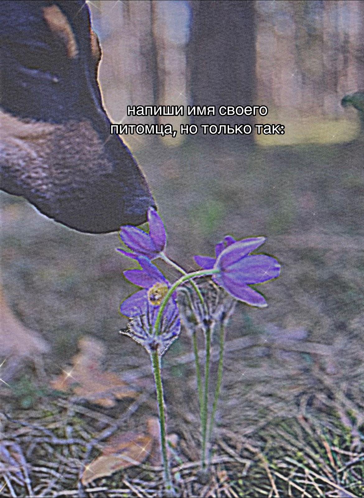@ӄꤌꤍꤙꤕр🧸