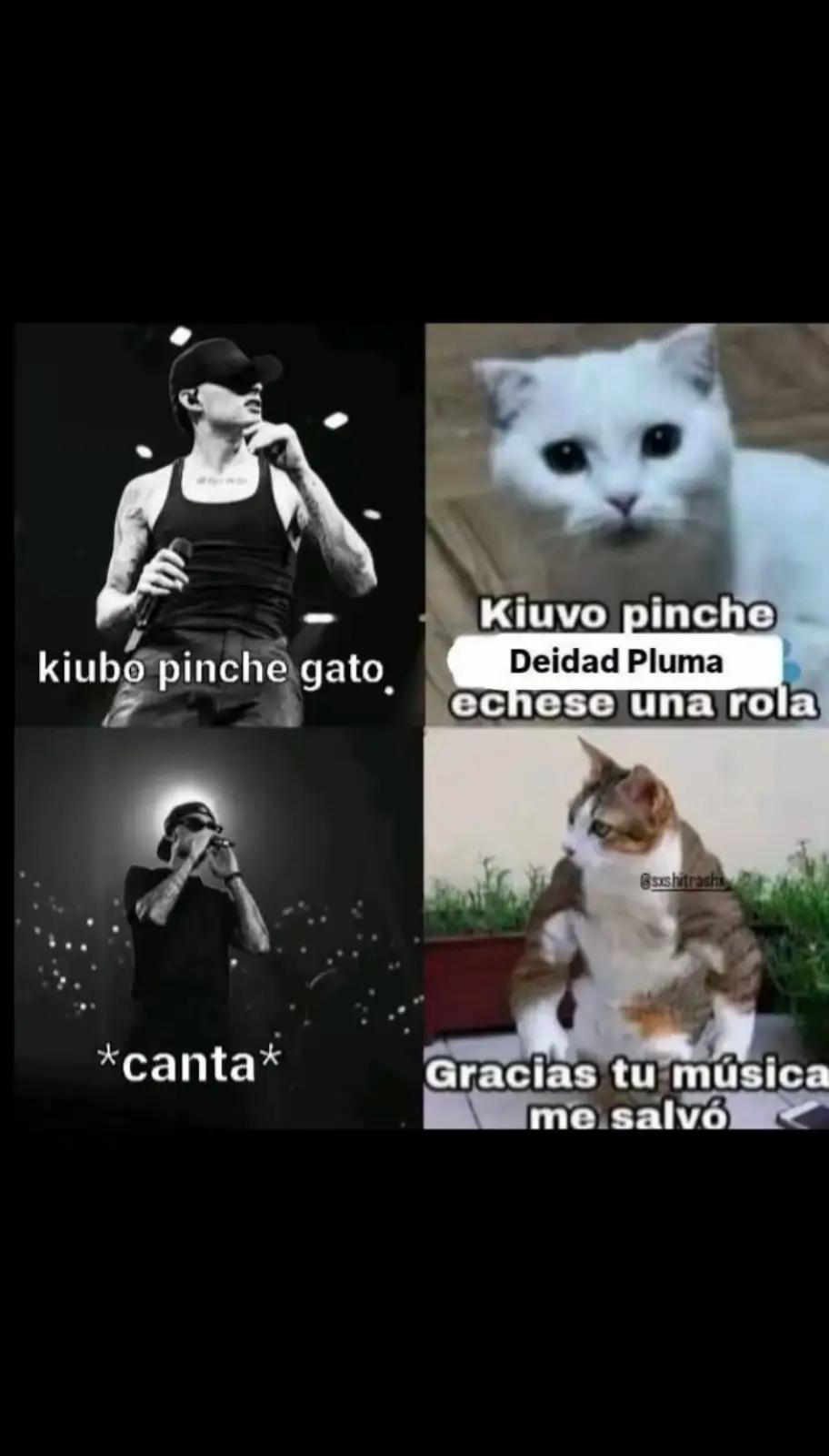 @Dandyboy