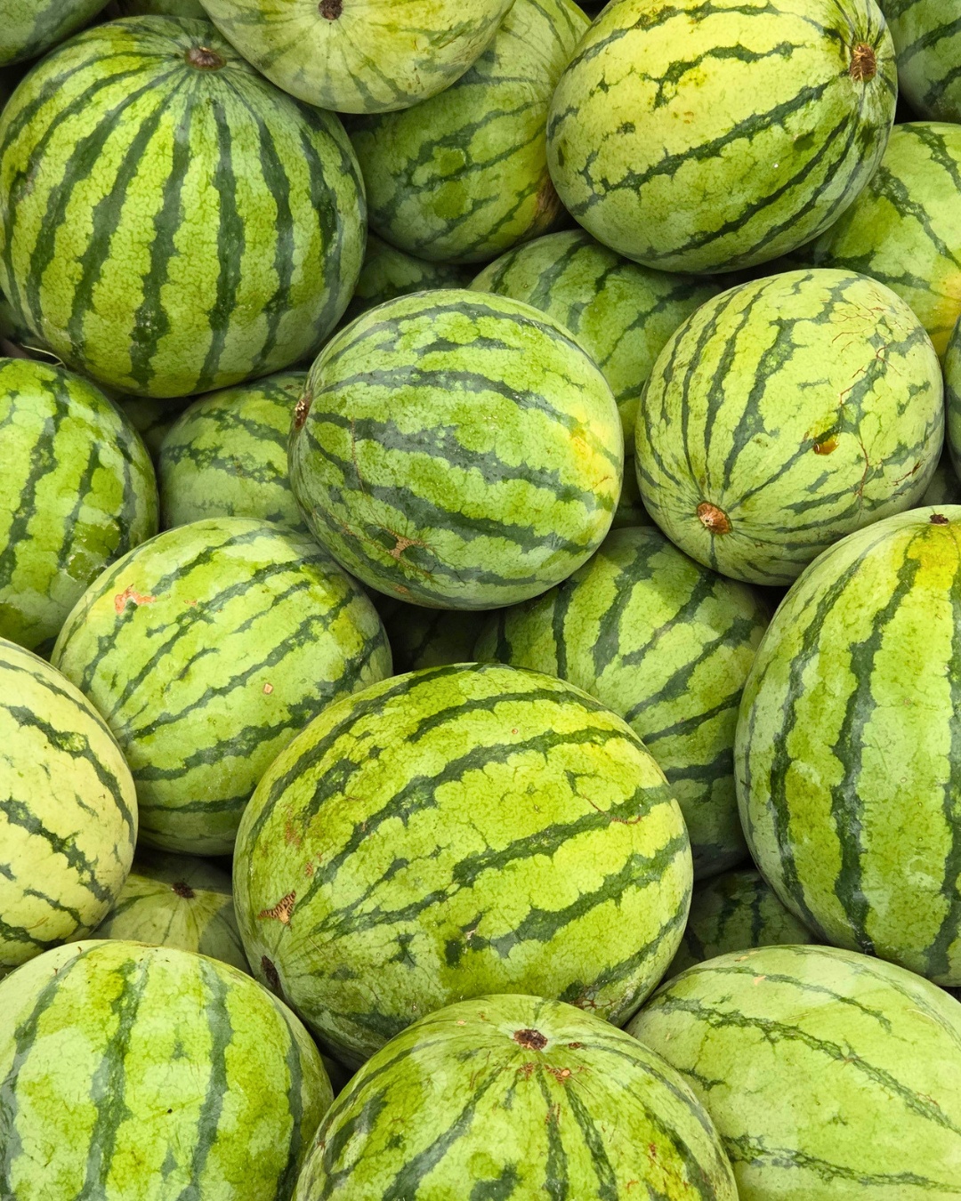 @Farmers Pick