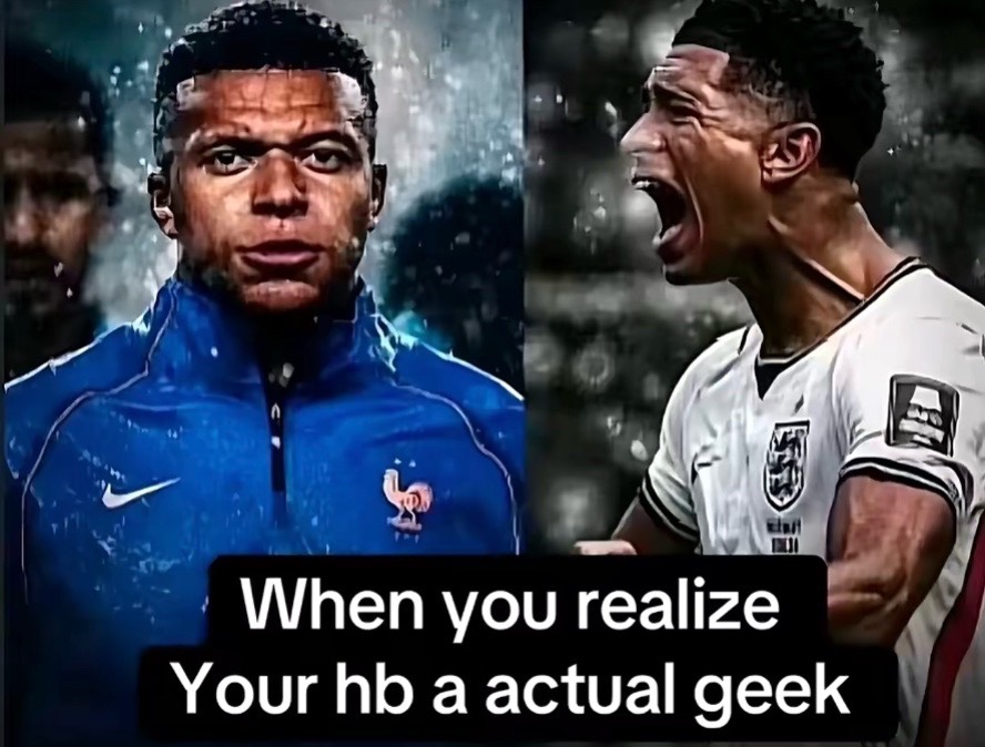 @average human