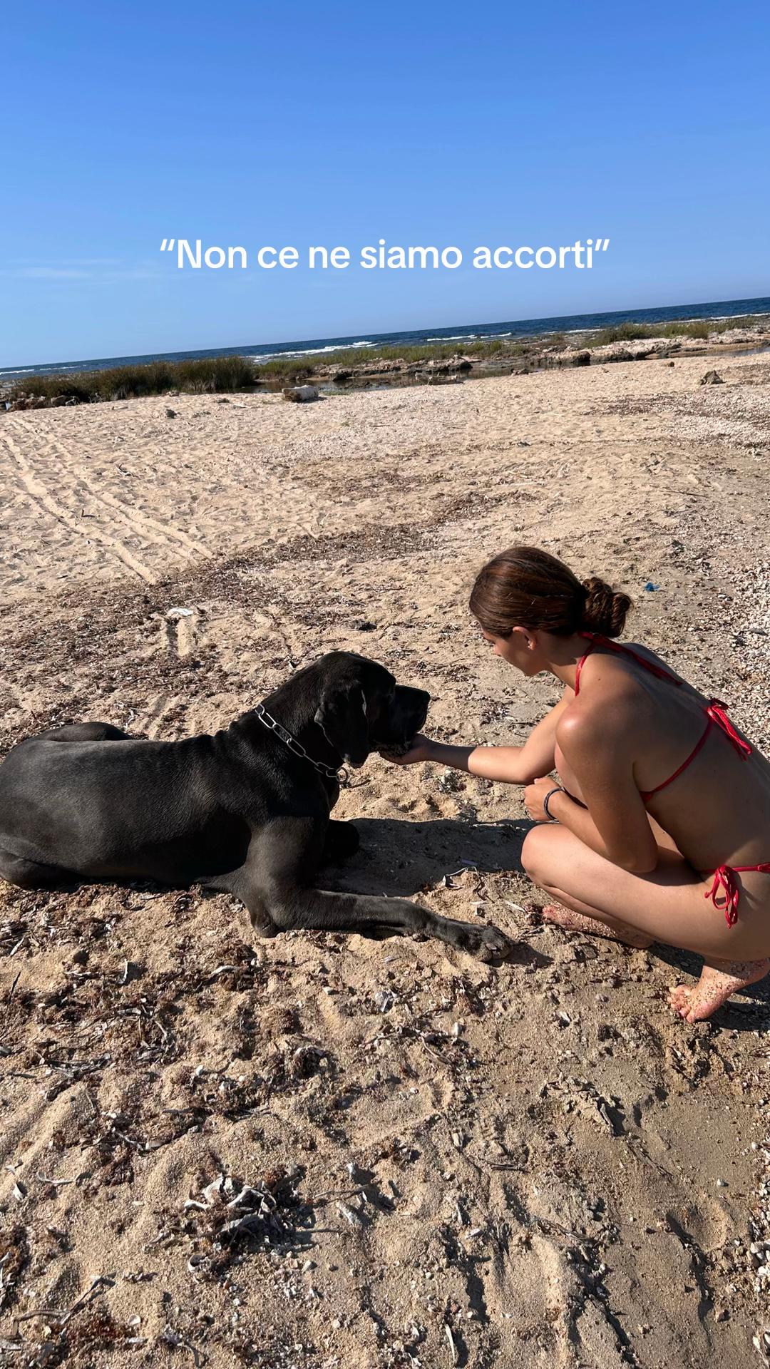 @Emi