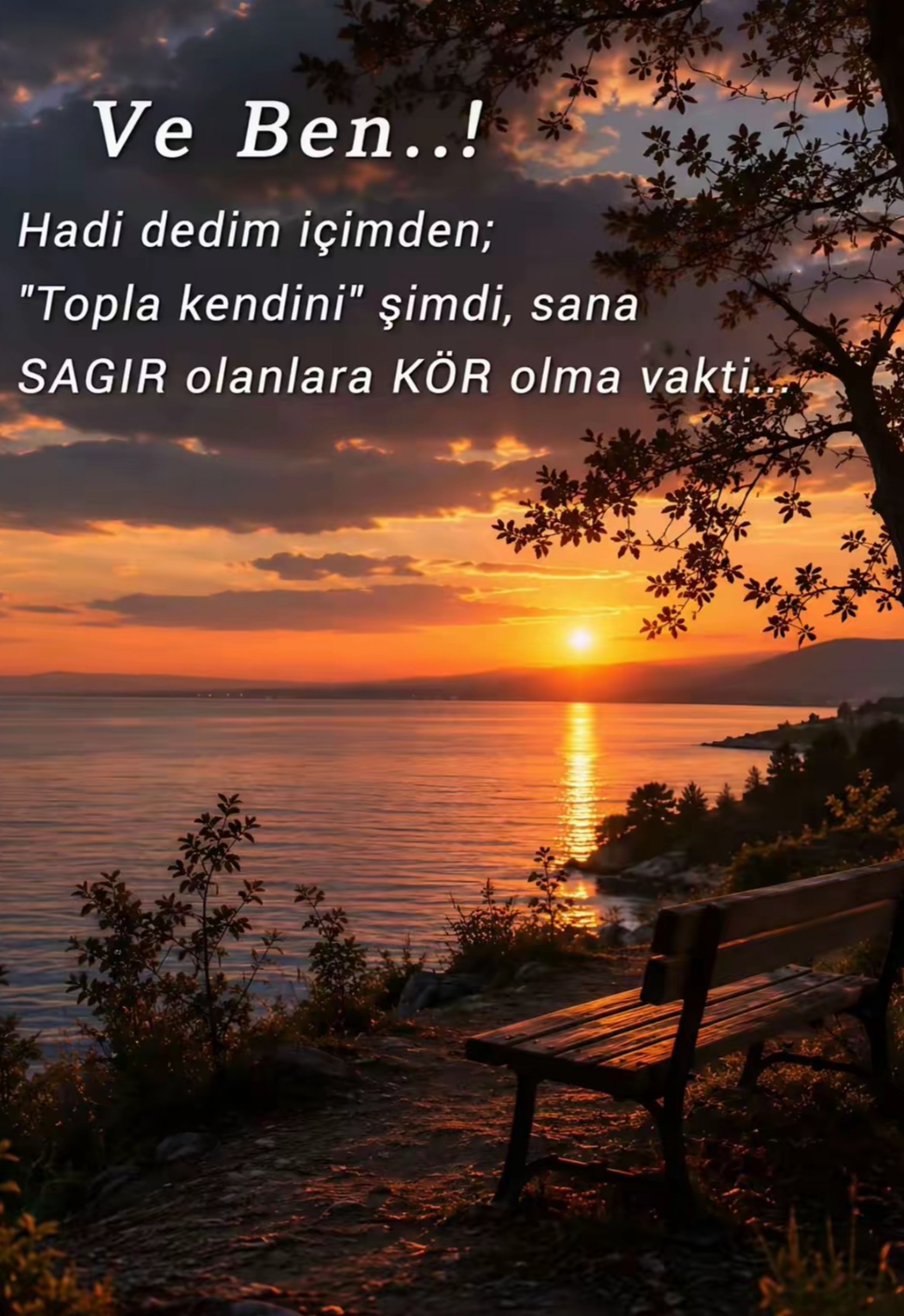 @@◦•●◉✿Yaban🥀gülü✿◉●•◦