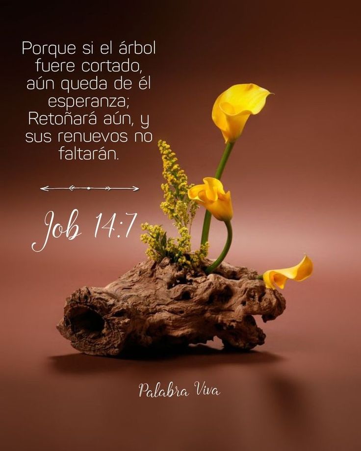 @Ingrid Moreno