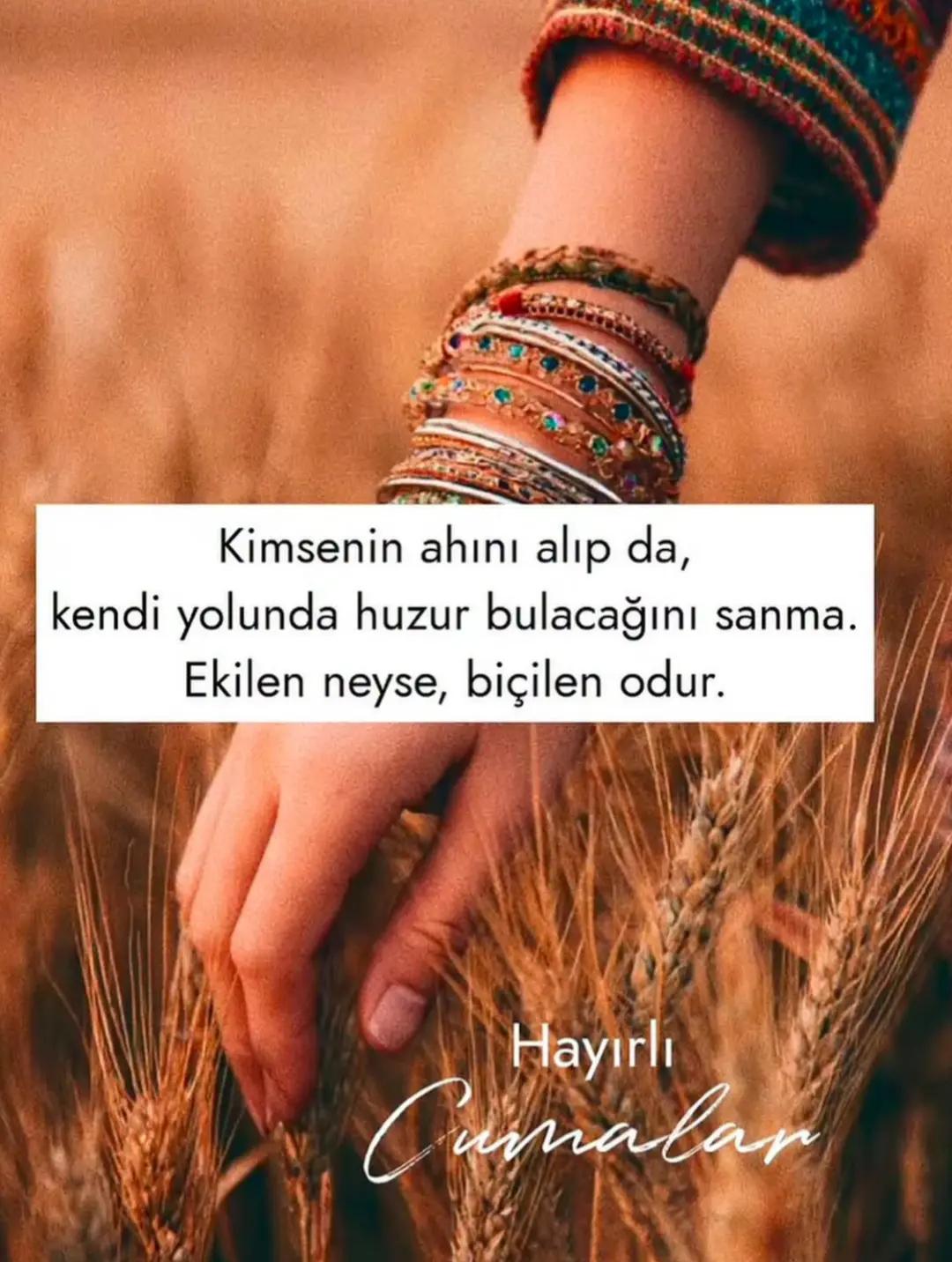 @Emine 5337🥰