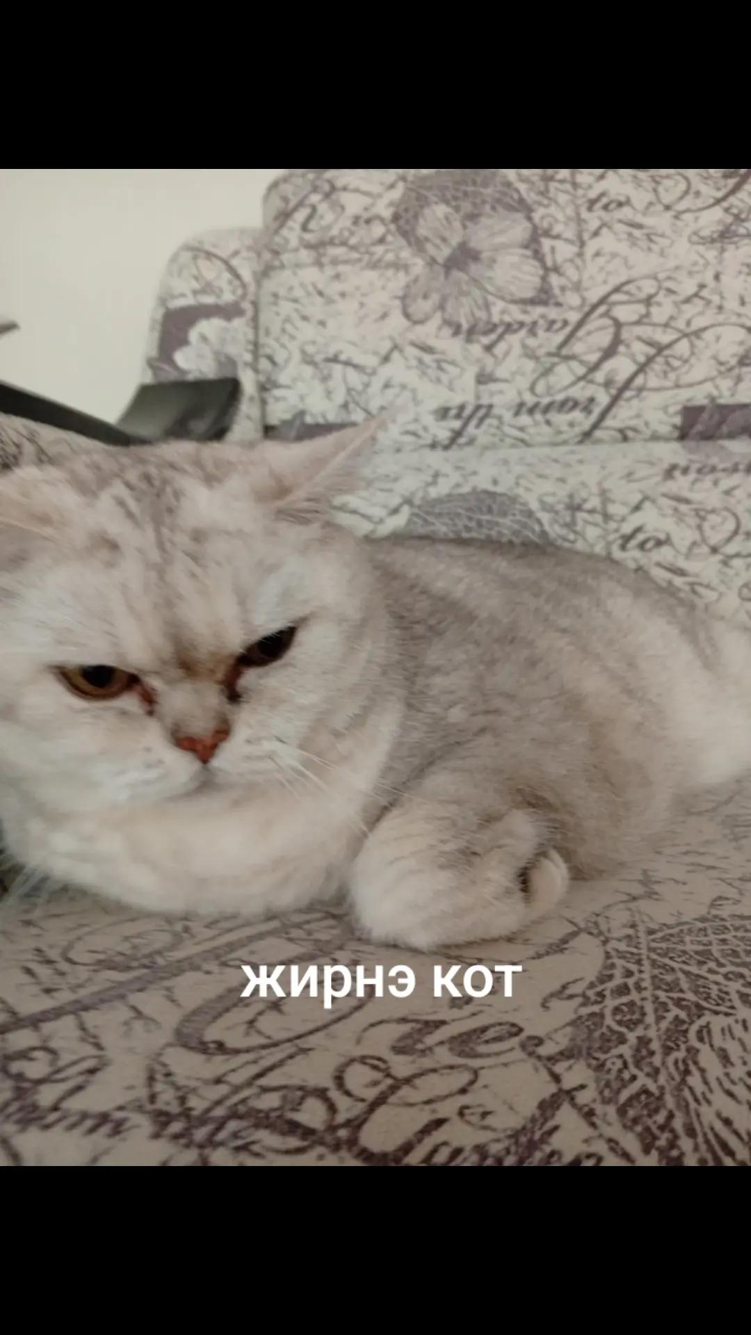 @Великий всепоглотитель