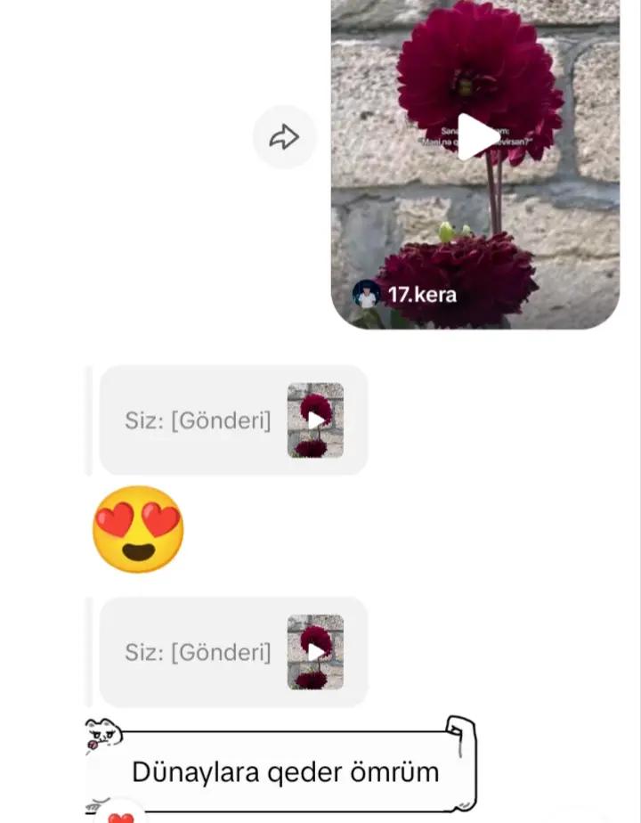 @ð©ðð®ðŠððª ðŸ